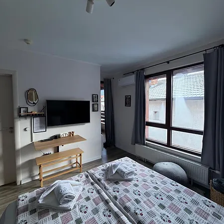 Luxury Studio2 In Friends Διαμέρισμα Μπάνσκο