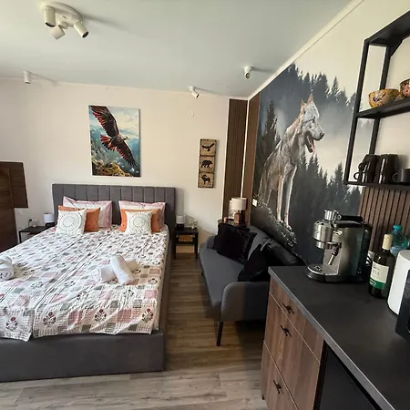 Luxury Studio2 In Friends 公寓