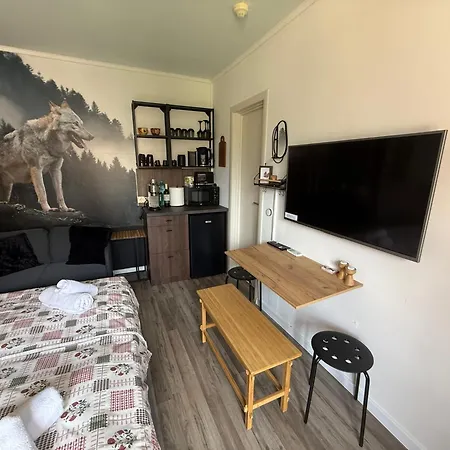 Luxury Studio2 In Friends 公寓 班斯科