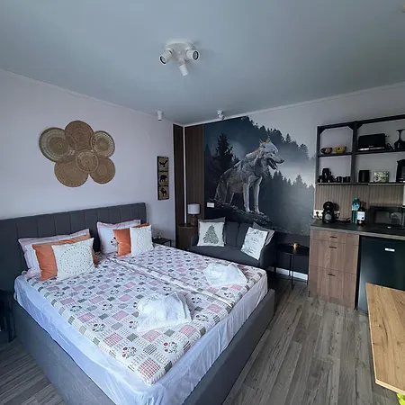Luxury Studio2 In Friends Apartament Bansko
