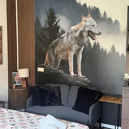 Luxury Studio2 In Friends Bansko